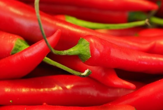 Capsaicin Has Low Solubility in Fats and Oils.png